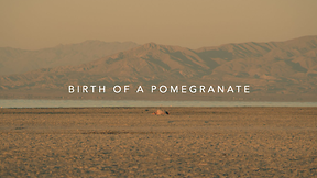 Birth of Pomegranate